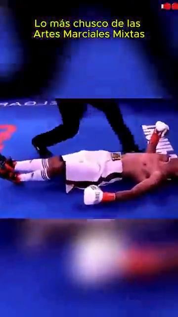 Los EFECTOS ESPECIALEs son lo MEJOR MOMENTOS de las ARTES MARCIALES MIXTAS que te HARÁN carcajear