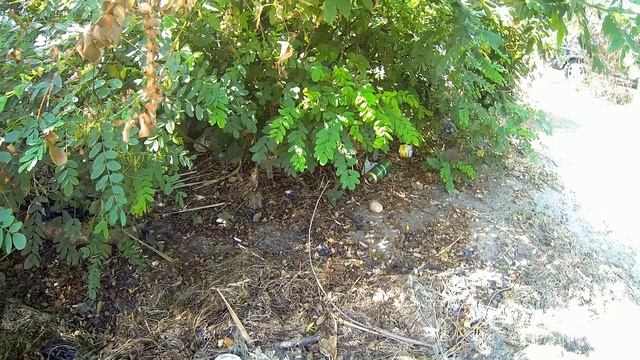 Плиты Егорлыкское водохранилище 20.08. 26.