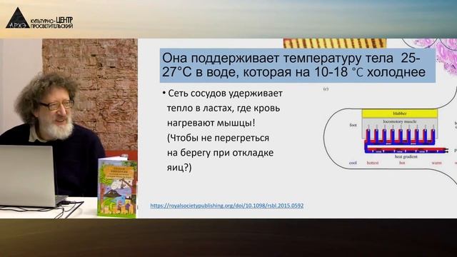 Сергей Глаголев: Теплокровность. У кого и какая она бывает