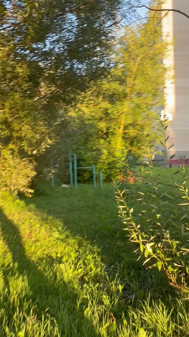 Тихие улицы большого города: прогулка по Спортивной в Электростали.