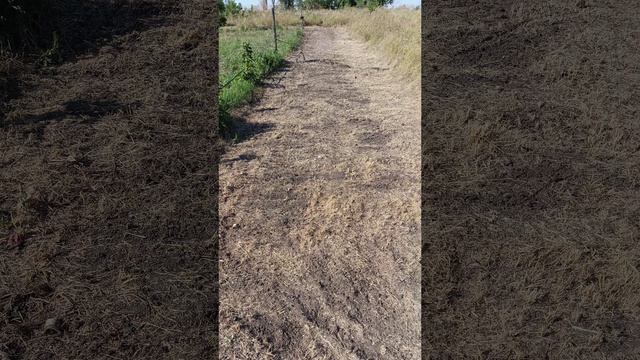 Как мы делаем противопожарную полосу от поля