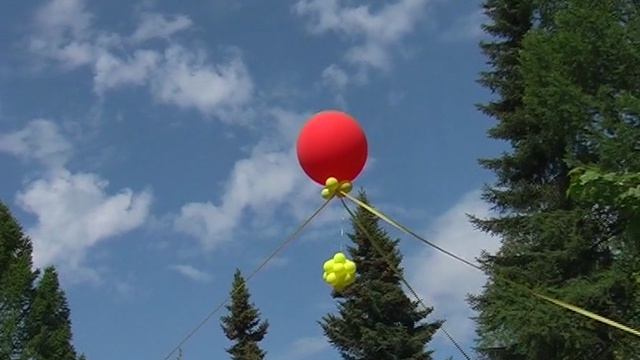 Пионерский лагерь Дружба 2008-08-10 Шары и Салют