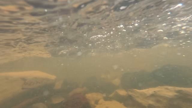 красивые подводные камушки