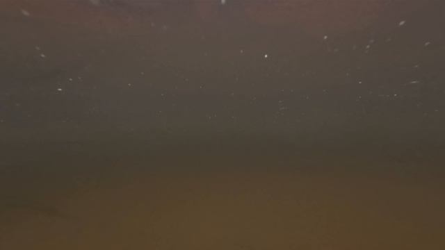 красивый кадр вдоль бревна под водой