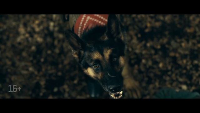 Сердце зверя (2026)рус.трейлер