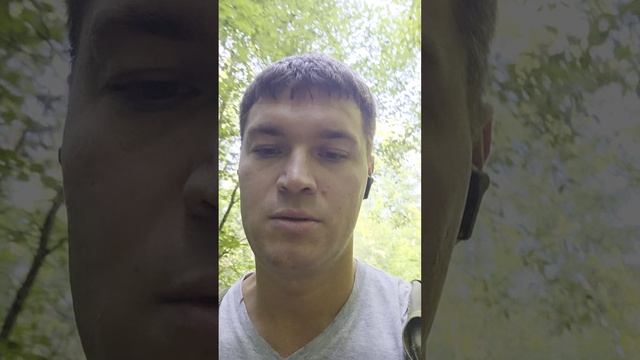 О прибежище