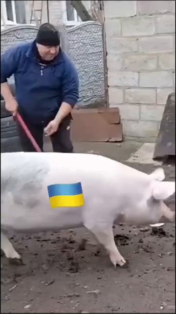 С кем и зачем в стране 404🇺🇦 предлагают договариваться?! 🤔😡
