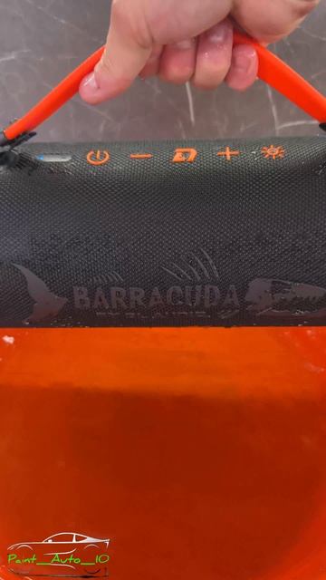 DL Audio Barracuda Big: когда колонка качает так, что соседи знают трек.