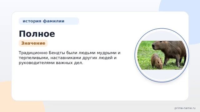 Полное руководство по фамилии Бендт: происхождение история и значение а также склонение для