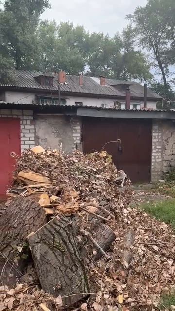 Деево упало и теперь все ждут, когда оно загорится. Сурков выехал к людям разобраться с бездействием
