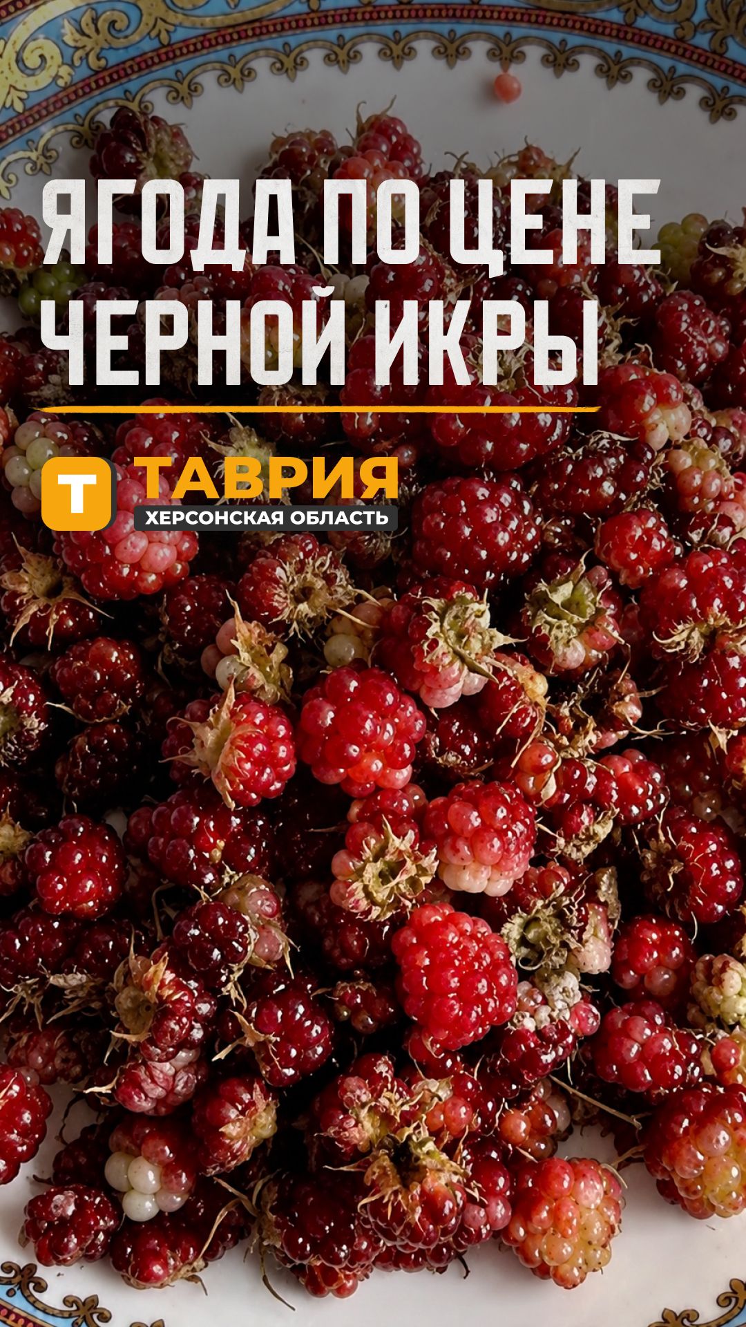 Ягода по цене черной икры