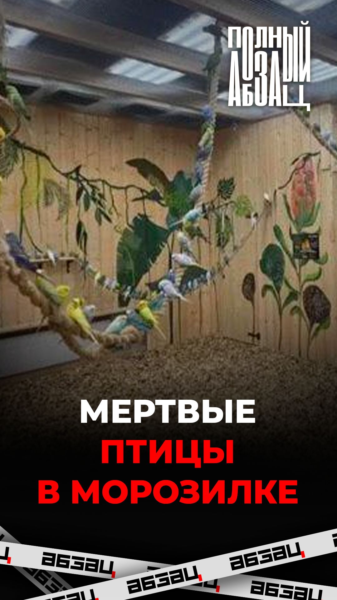 Мертвые птицы в морозилке