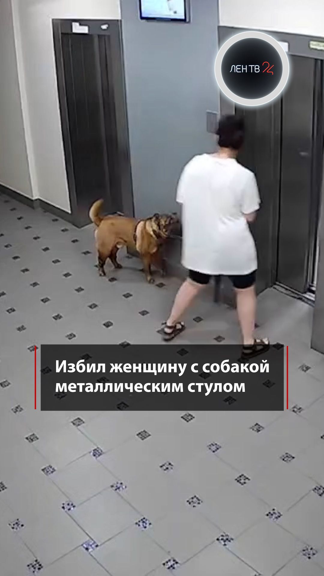 Избил женщину с собакой металлическим стулом
