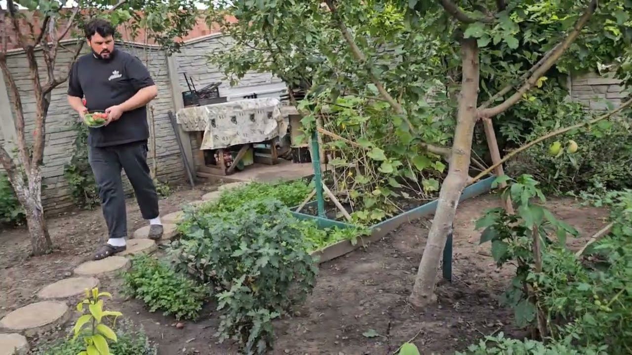 Сытники - Поели теперь можно в огороде