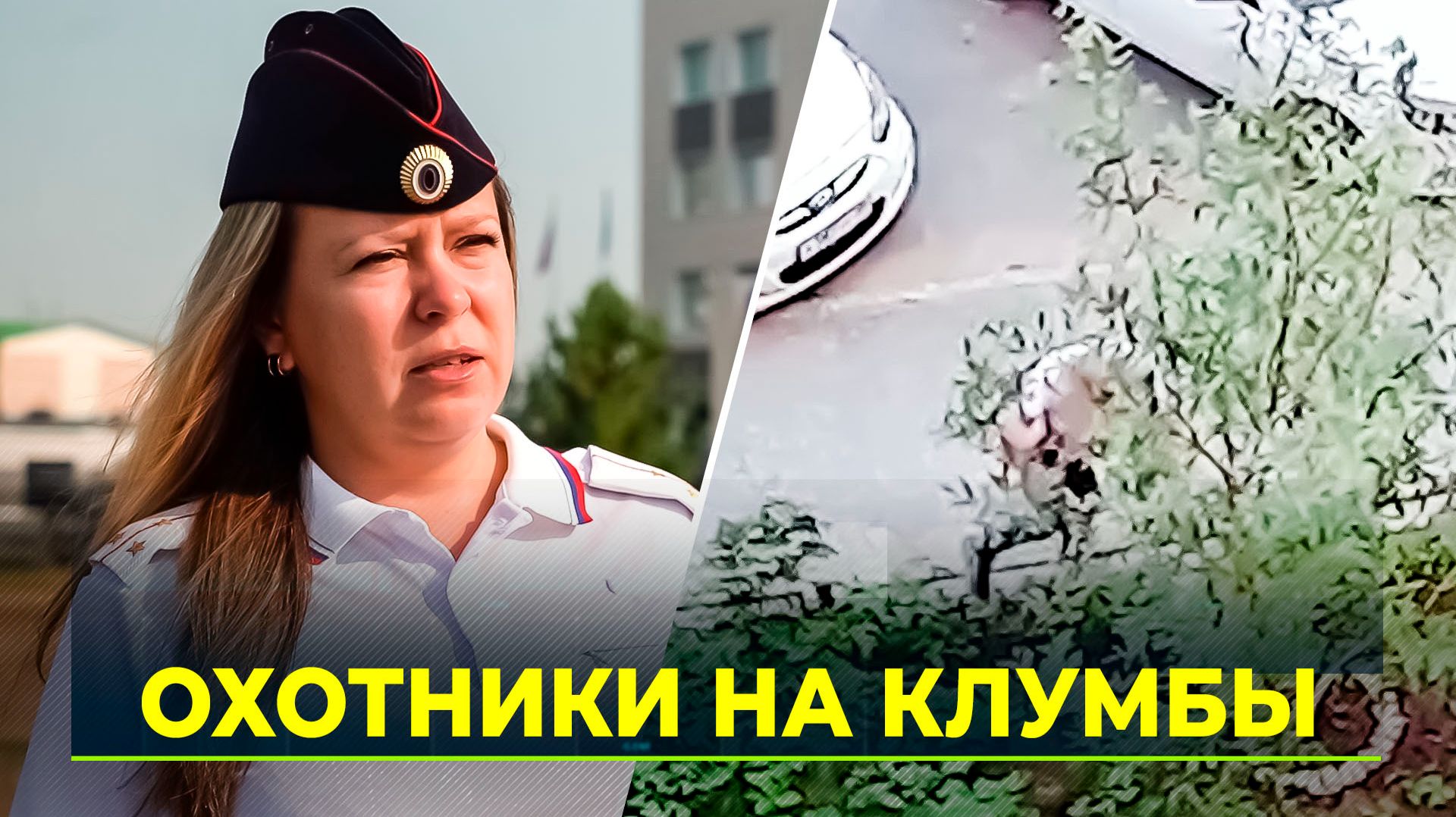 Непорядочные ямальцы портят клумбы