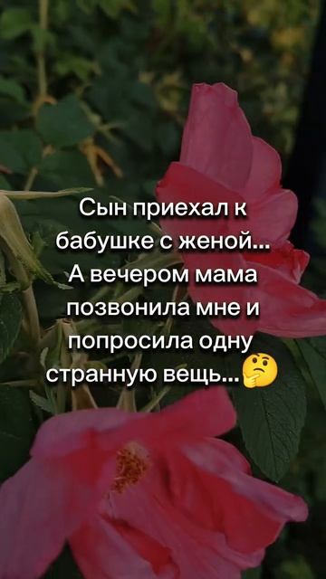 Сын приехал к бабушке с женой... А вечером мама позвонила мне и попросила одну странную вещь...🤔