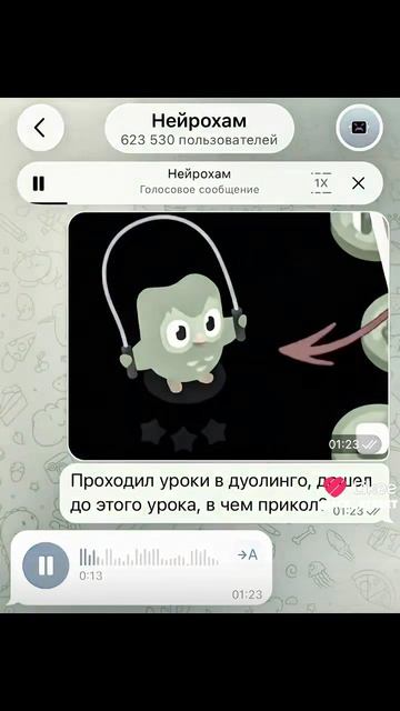 Нейрохам