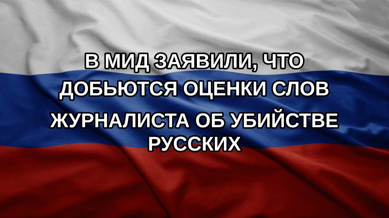 В МИД заявили, что добьются оценки слов журналиста об убийстве русских