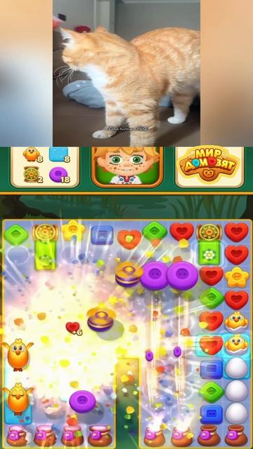 Котики ❤️ #мирдомовят #интересно #котики #мобильнаяигра #игрынателефон