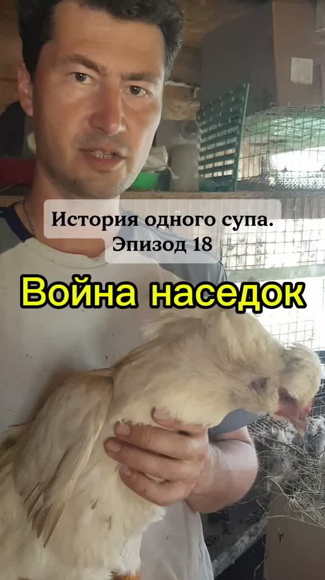 История одного супа. Эпизод 18. Война наседок
