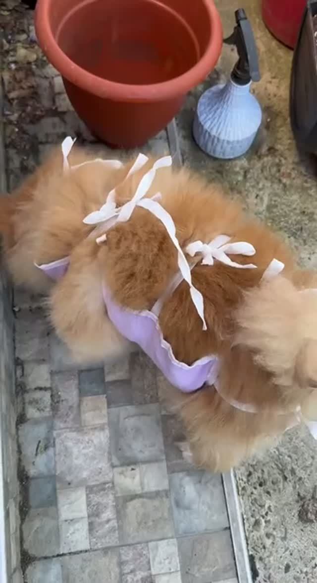 Первые шажочки.