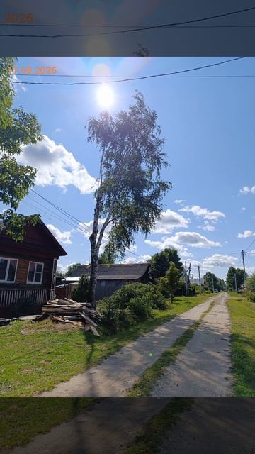 АЛЬПИНИЗМ ОПАСНО. СПИЛИТЬ ДЕРЕВО