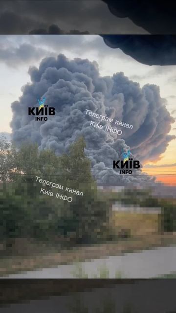А нас за що🤣🤣🤣 утренний Куев прекрасен🤭😎🤙🇷🇺🇷🇺🇷🇺