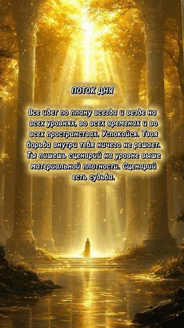 ПОТОК ДНЯ 💫