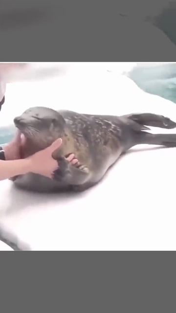 БЫВАЕТ