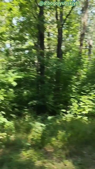 Андрюха прогулочка на природе 👍🌳☀️🚶