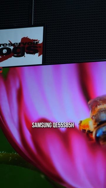 Samsung QE55S85H — кому подойдёт этот телевизор?