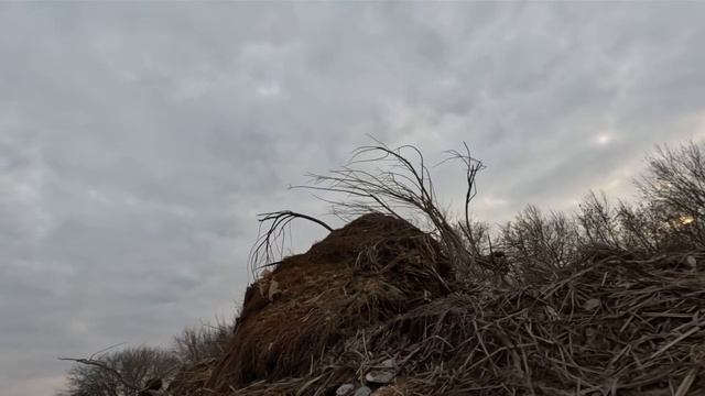 кочка в поле рядом с речкой