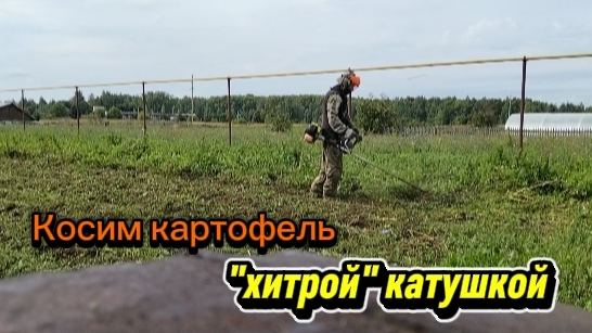 Скосил участок с картофелем. Хитрая катушка в деле. 114