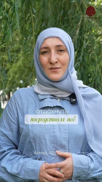 ПОКЛОНЕНИЕ КАК ОТДЫХ: МУДРОСТЬ ПРОРОКА ﷺ  Сидрат Магомедова.  #намаз
