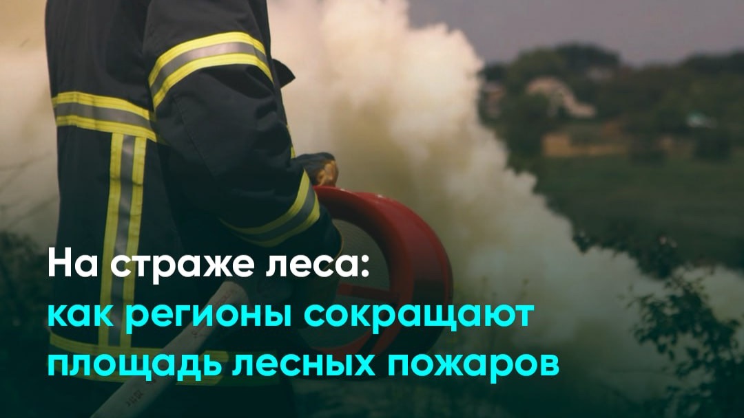 На страже леса: как регионы сокращают площадь лесных пожаров