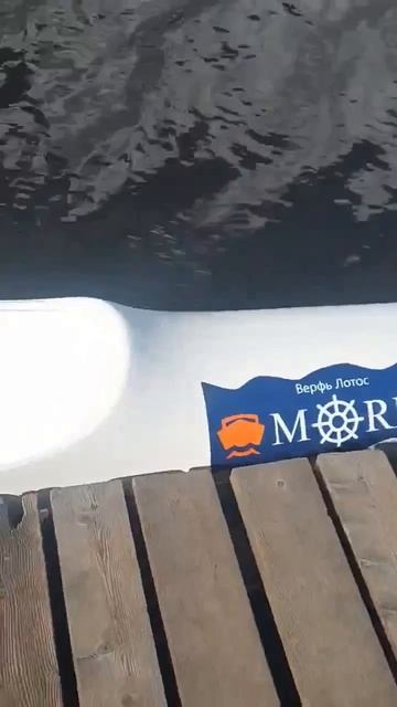 Всероссийские соревнования по гребле с Morev & ship