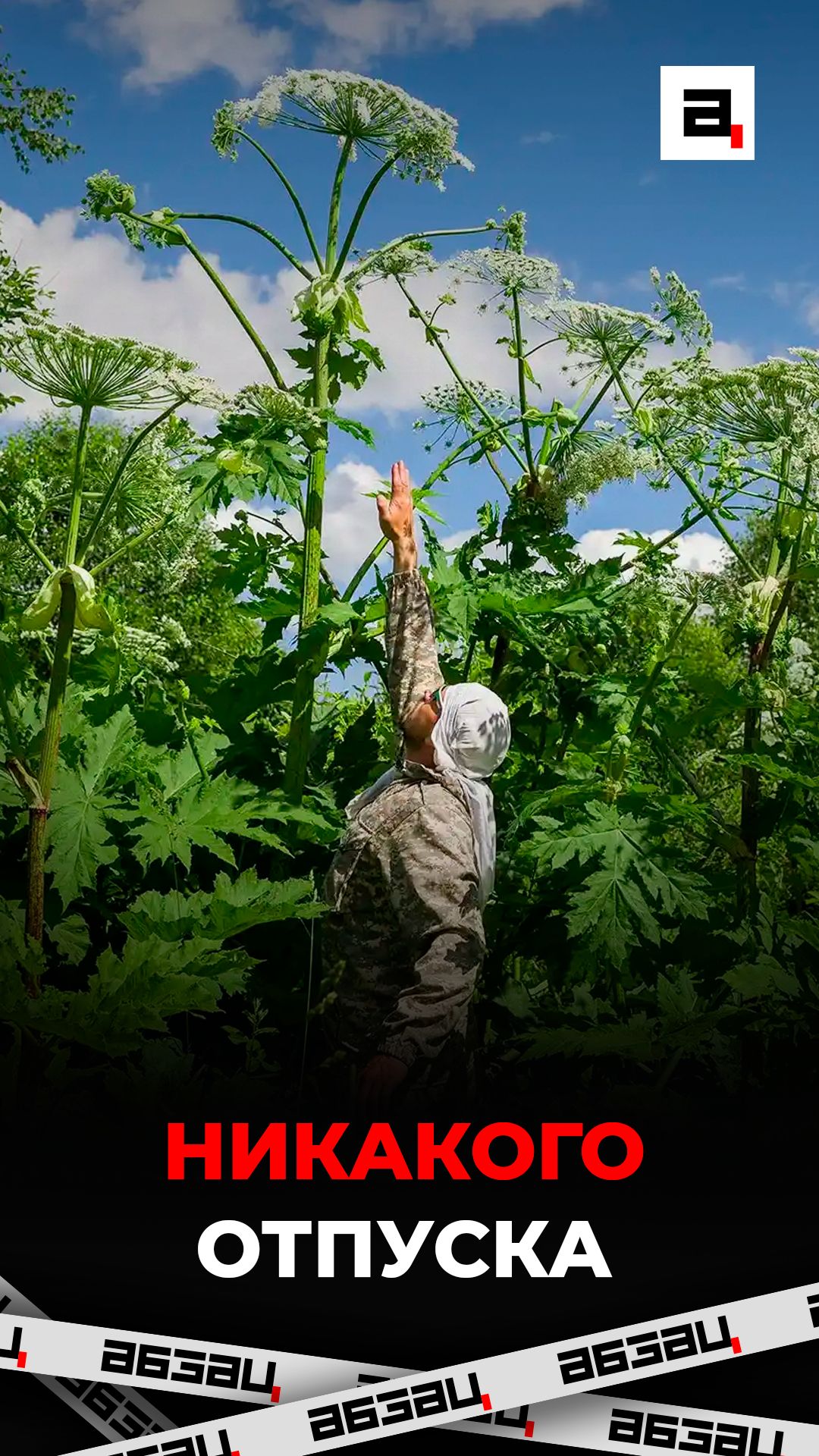 Никакого отпуска