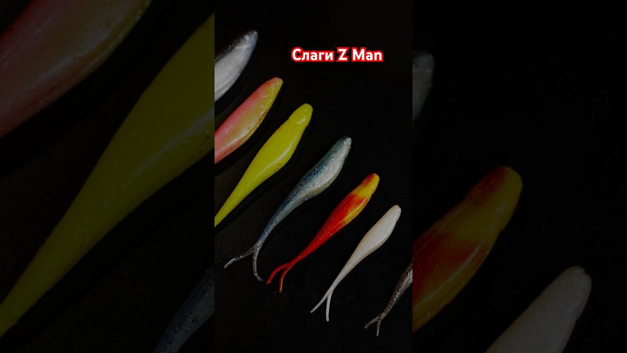 Слаги Z Man  #beregfishing #fishing #спінінг