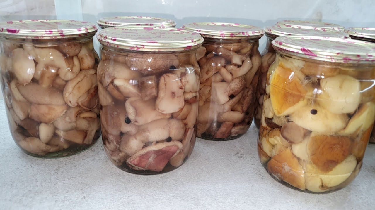МАРИНОВАННЫЕ ГРИБЫ НА ЗИМУ - СУПЕРВКУСНЫЙ РЕЦЕПТ ДЛЯ ВСЕХ ВИДОВ ЛЕСНЫХ ГРИБОВ