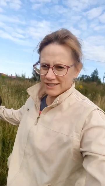 Утро начинается или ...
