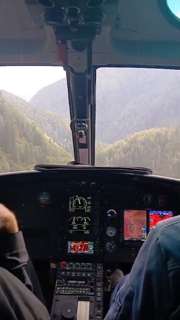 Гости с 