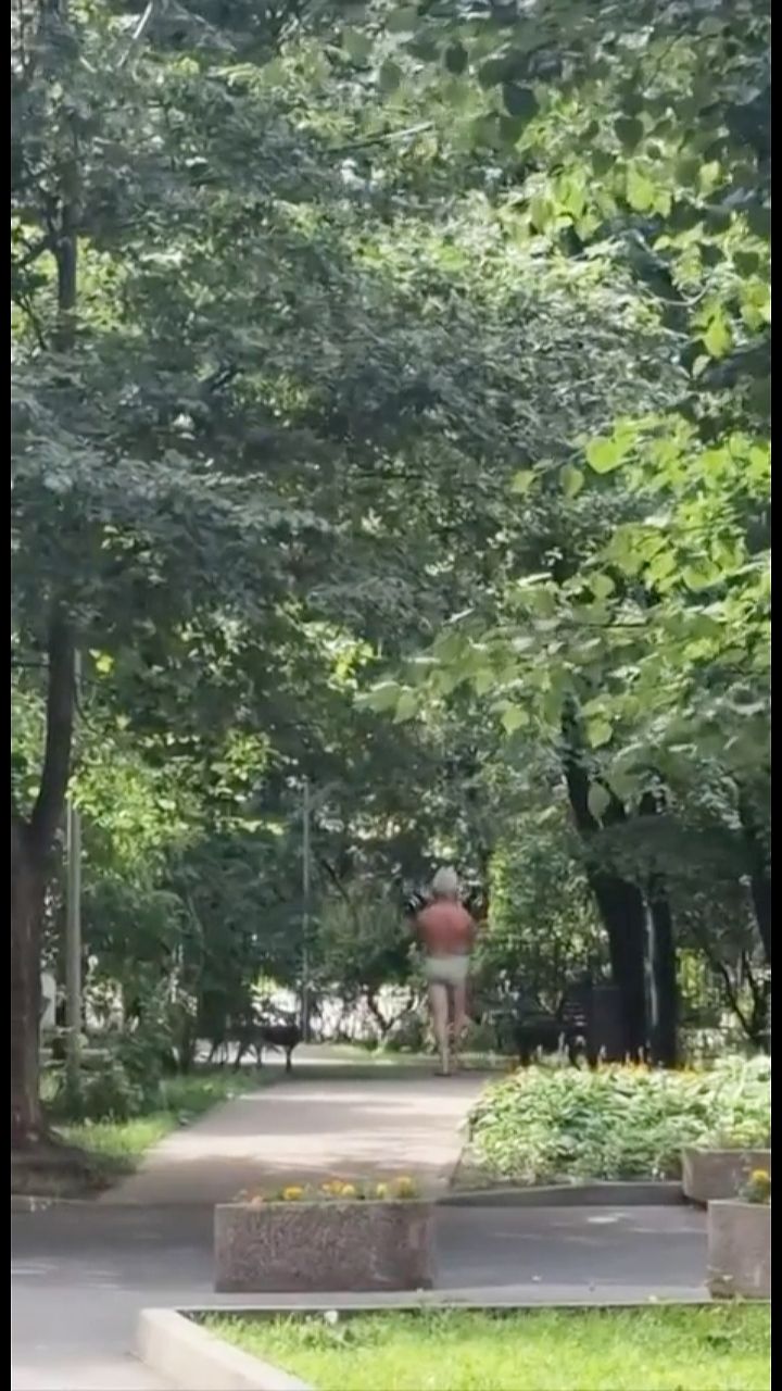 Утренняя зарядка в парке