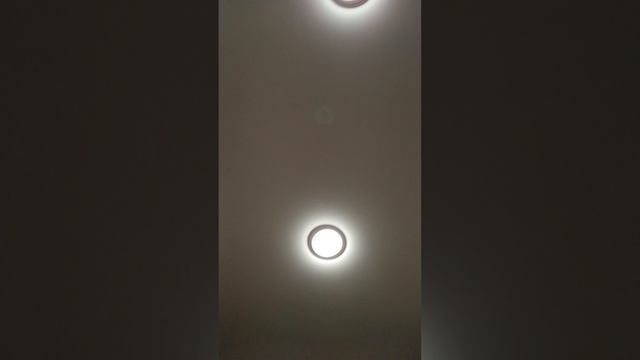 мои бумажные сквиши