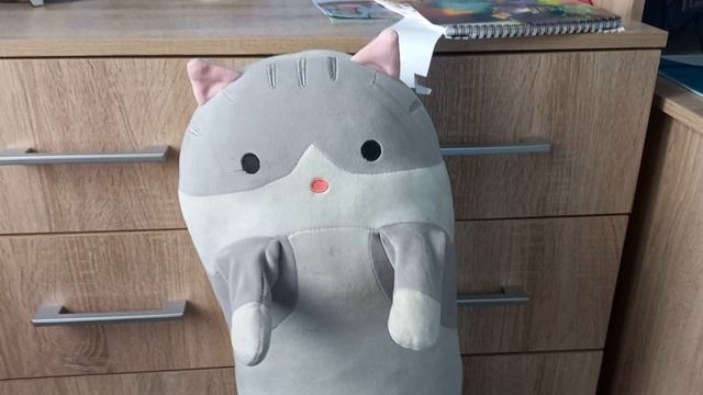 у котика дела и замена на другова котика