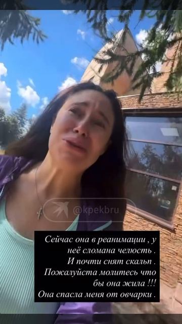 На звезду «Уральских пельменей» Илану и ее собаку напала овчарка
