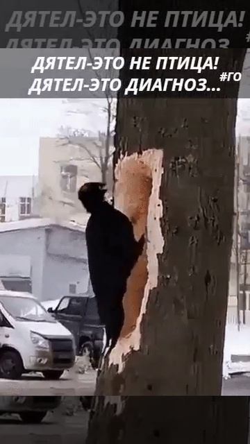 БЫВАЕТ