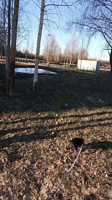 Май гуляем