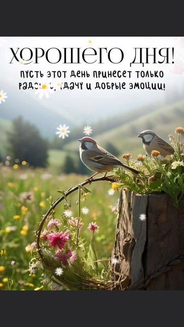 Хорошего дня ☀️