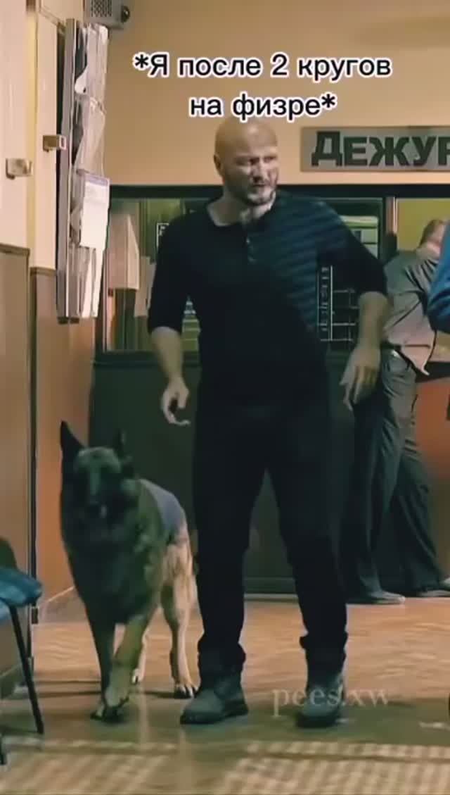 Макс - Гнездо , Прям как и в жизни 😂😂