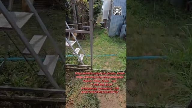 Как образовались долги